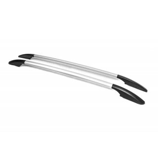 Ford Fusion Рейлинги OmsaLine Solid (2 шт, серые)